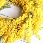 ミモザを使った4種のリースの作り方をご紹介します。黄色いふわふわとしたミモザの花を見ると、心がふんわり優しい気持ちになりますよね。フレッシュのミモザはその季節にしか手に入れることができない貴重な花。フレッシュのミモザでリースを作るとそのままドライフラワーになるので、ナチュラルなインテリアとして一年中飾ることができます。最近はアーティフィシャルフラワー（造花）のミモザも本物そっくりにできているので長く使えてとてもおすすめです。黄色いビタミンカラーのミモザにふれて、元気をいっぱいもらいましょう。