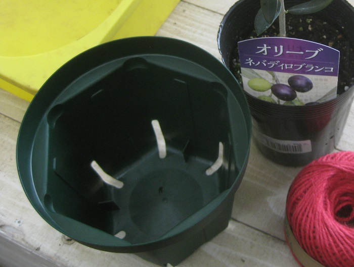 プラスティック製のスリット鉢は、スリットが入っていることで水はけが良く、スリットから光が入ることで鉢の底で根がぐるぐると巻いてしまう現象を防ぐ機能的な鉢です。価格も安く、植物が育てやすいメリットがあります。