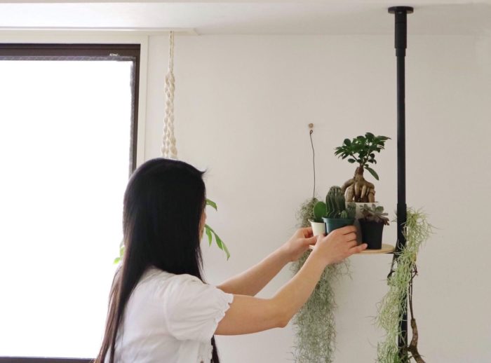突っ張り棒 Draw A Line 1本でおしゃれ空間に 植物や雑貨をすてきに飾るアイデア Lovegreen ラブグリーン
