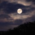 2019年のスーパームーンは2月20日でしたが、9月14日の満月はマイクロムーンです。見上げると静かな気持ちになる満月、そんな満月には月ごとに名前があるのをご存知ですか？植物や生物に関係する名前もついているのですよ。12か月の満月の名前と、スーパームーンやブルームーンについてもご紹介します。