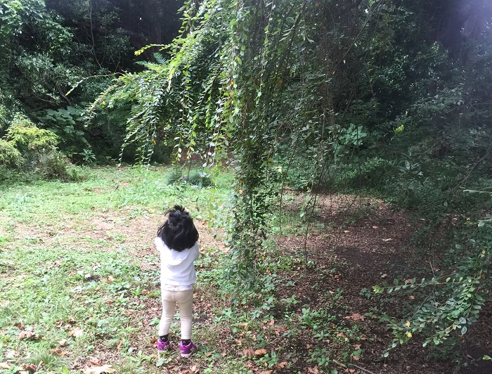 森で森林浴がしたいけれど時間も余裕もない！そんなときは近所の公園や植物園に行ってみませんか？  近所の公園に行くときも、植物にフォーカスをあわせてみると、いつもと違う気分が味わえるかもしれません。