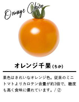 オレンジ千果
