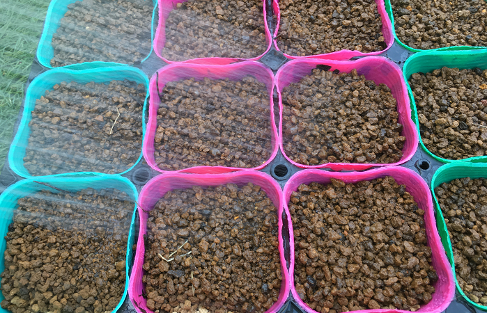 枝豆の種の2倍ほどの深さ2cm位に種をまき土を被せ、仕上げに水を与えます。  発芽するまで湿った状態を保ちますが、大豆が溶けてしまわないよう育苗ポットの土が水びたしになるようなことはさけましょう。