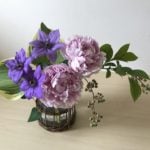 初夏、この季節の代表の様な芍薬の花は、まん丸で可愛らしい蕾や咲きはじめた様子も、咲いている途中の姿も、どんな様子でも美しくて満開を迎えると息をのむほどの華やかさをしています。 芍薬だけでゴージャスに生ける姿も見事ですが、今回は芍薬の花と合わせて生けると相性の良いクレマチスと合わせた生け方を紹介致します。