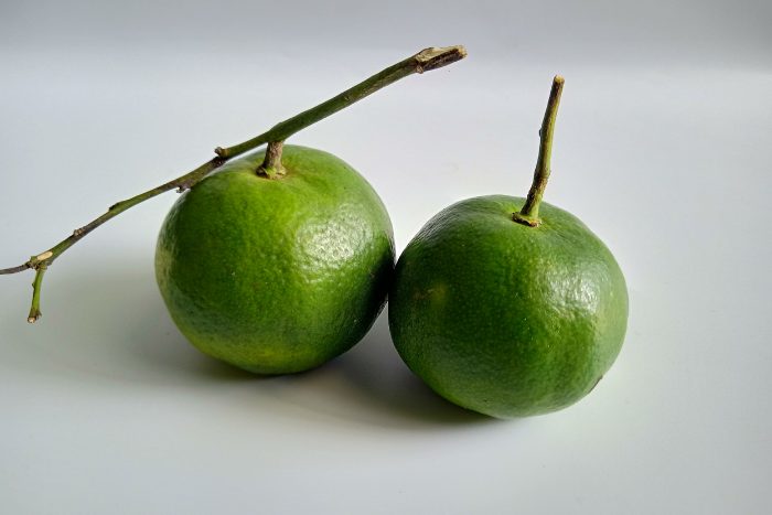 Canva画像　ダランダン