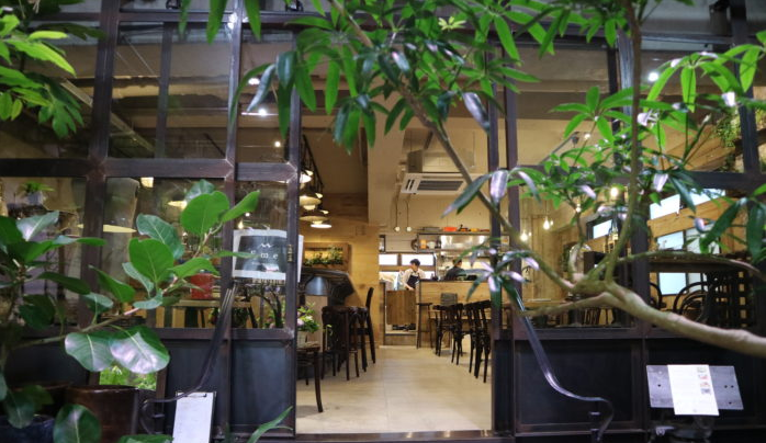 樹形にこだわった観葉植物を購入できる Tranship にカジュアルフレンチの料理店オープン 東京 武蔵小山 Lovegreen ラブグリーン