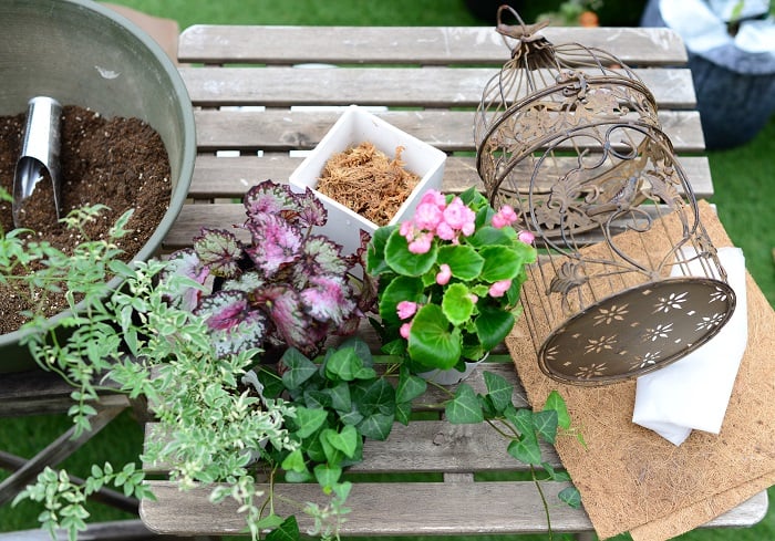 おしゃれに飾ろう アンティーク風の鳥かごを使った寄せ植えの作り方 Lovegreen ラブグリーン