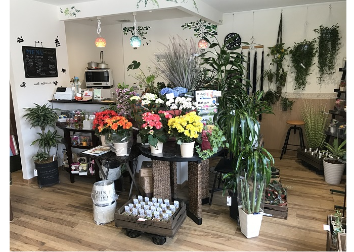 Flower&cafe STELLA