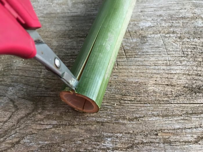 2.片側に切り込みを入れたら、もう片側の同じ位の位置にハサミで切り込みを入れると二つに竹を割く事が出来ます。