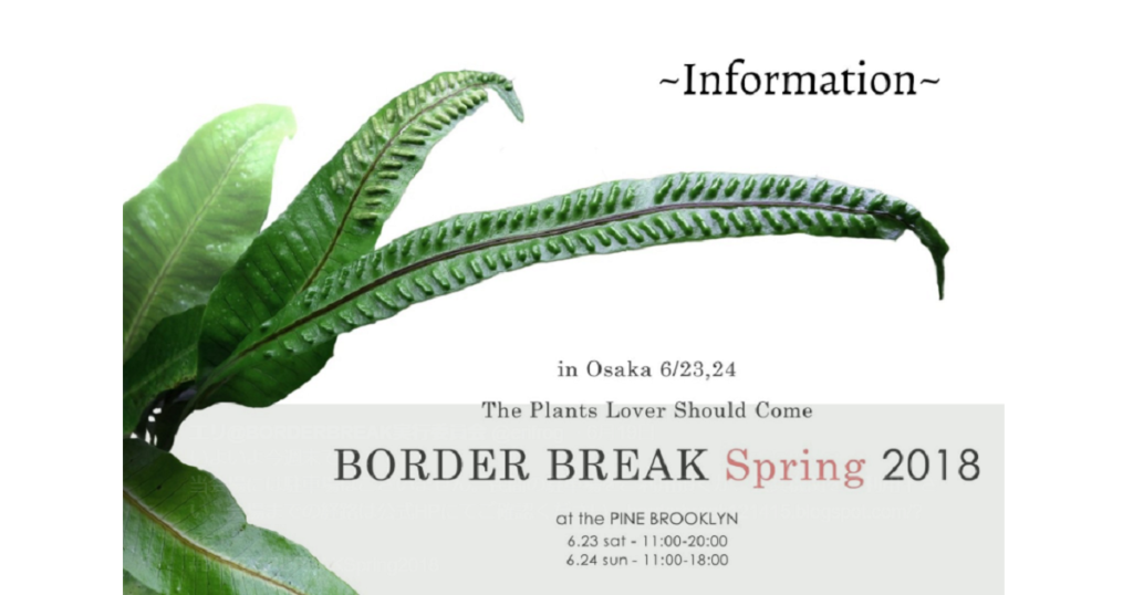 border break spring