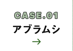 CASE.01 アブラムシ