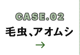 CASE.02 毛虫、アオムシ