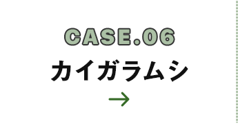 CASE.06 カイガラムシ