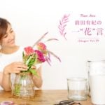 前田有紀の一“花”言vol.19「ケイトウ」～この夏注目したい花