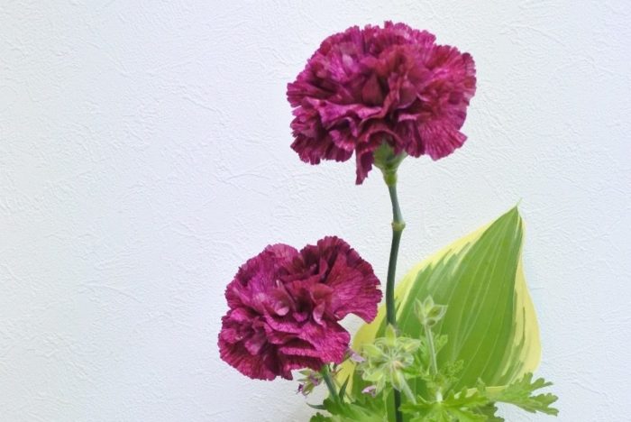 お花屋さんの定番の花10選と切り花の管理方法 Lovegreen ラブグリーン