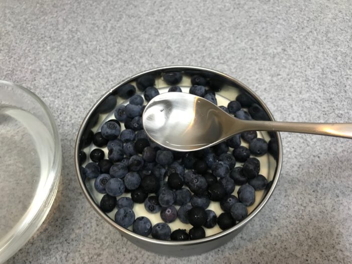 収穫したブルーベリーを使って簡単に作れる季節のレアチーズケーキ Lovegreen ラブグリーン