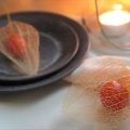 鬼灯（ほおずき）は提灯のようにぶら下がったオレンジ色の実が可愛い植物です。この鬼灯（ほおずき）の実を、葉脈だけの状態にしてドライフラワーにしたものを透かしほおずきと言います。見た目にも涼やかな透かしほおずきを自宅で作って楽しみませんか。