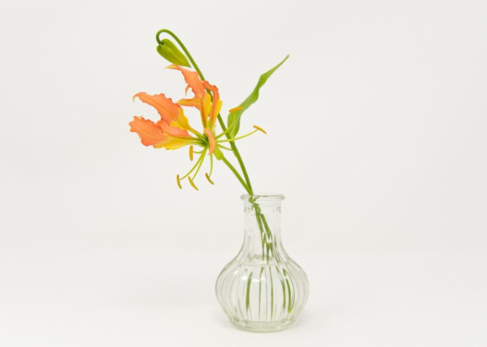 花瓶と花のコーディネート, botapii, ボタピ―, 花瓶, 花, 飾り方, 生け方