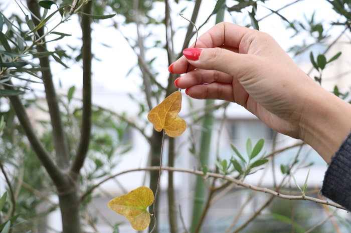 紅葉している葉っぱも色が美しくて気になったり、描く植物を選ぶのもとても楽しい時間です。