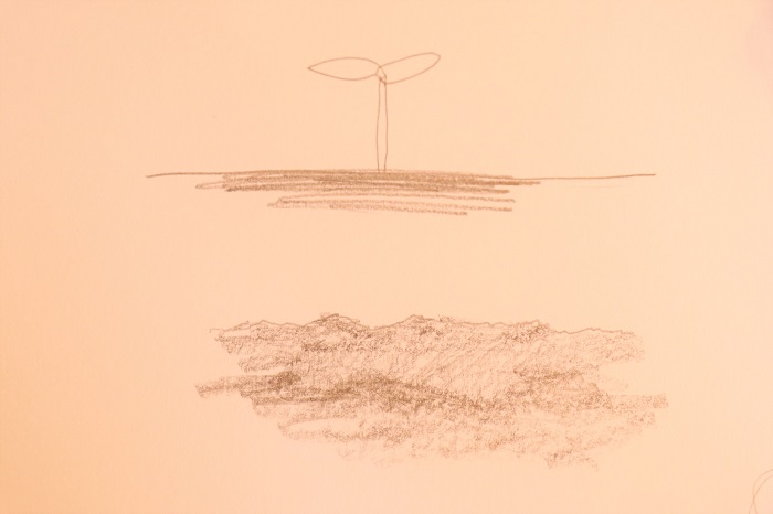 土の描き方がわからないという相談から、葉月さんがこんな絵を描いて教えてくれました。  上の絵のように双葉が芽を出している様子を描くと、植物の下が土であることがわかるのですが、植物無しで土の部分だけ描く場合は、まず土の表面の線を小さくデコボコさせながら描き、土の深い部分を、鉛筆の角度を寝かせて鉛筆の腹の部分を使って濃く薄く塗って描いていくと、土が表現できるそうですよ。