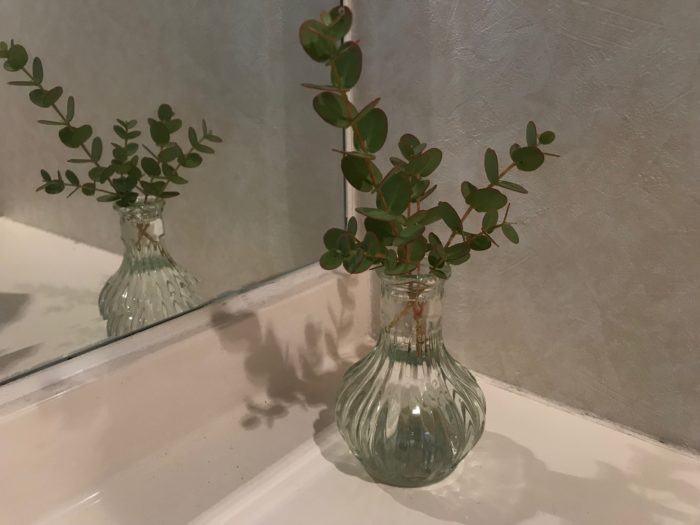 玄関やトイレに飾る 香りのいい植物5選 Lovegreen ラブグリーン