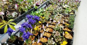 5c06901f5559e7d711bfea4d2043f1