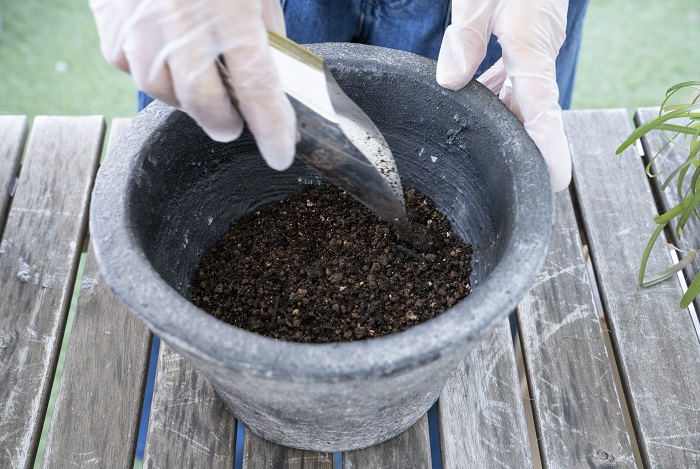 鉢底の石の上から、肥料入り培養土を入れます。