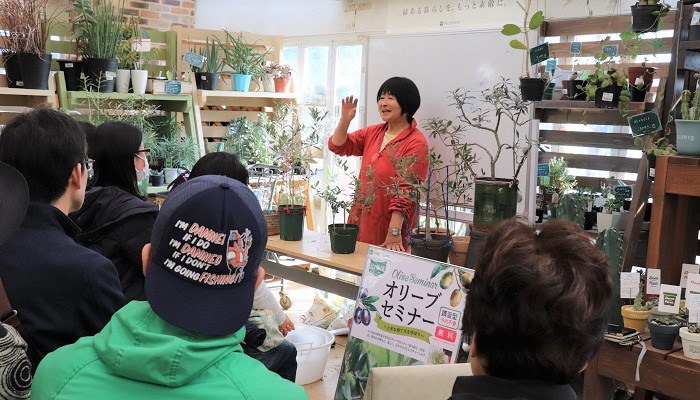 岡井路子先生による鉢で育てるオリーブ 春の作業 植え付けなど とそれぞれの楽しみ方 Lovegreen ラブグリーン
