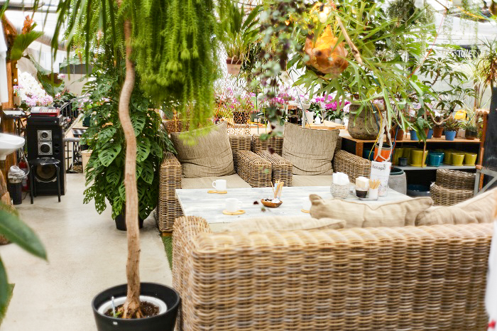 福岡の胡蝶蘭生産 温室カフェ 素敵な空間が広がる たかしまえん に行こう Lovegreen ラブグリーン
