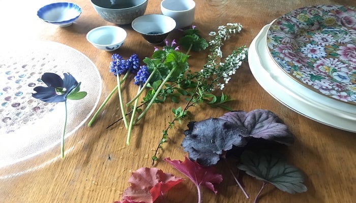 お庭のお花で花遊び 自宅にある食器に春の花を生けてみよう Lovegreen ラブグリーン