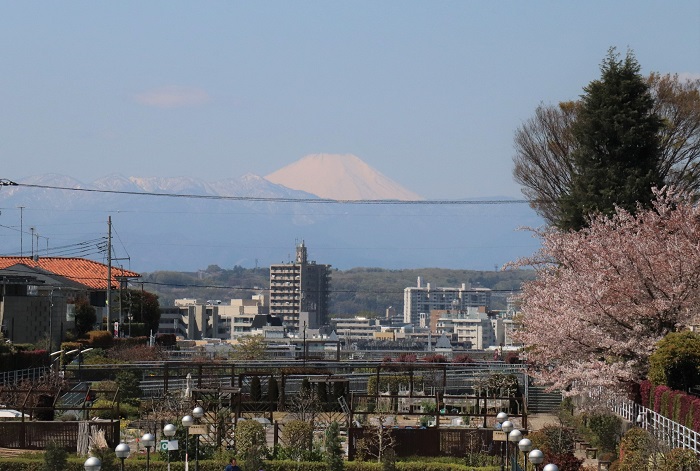 お天気の良い日には、ラウンジやテラスから美しい富士山が見える素敵な場所です。取材当日もはっきり富士山が見えました。