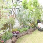 お庭のお悩みの中でも特に多い「外からの視線が気になる」という問題。今回は目隠しが出来て、中から見てもきれいで、前を通る人からも褒められる一挙三得の解決事例をご紹介します！