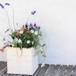 初夏の寄せ植えにぴったりの植物は、たくさんの花茎を伸ばし、鮮やかな紫色の小花を穂状につけるラベンダー！今回紹介する寄せ植えは、すべて多年草の植物を使ってコーディネートしています。簡単なお手入れをすることで来年も花を楽しめるのでおすすめです。