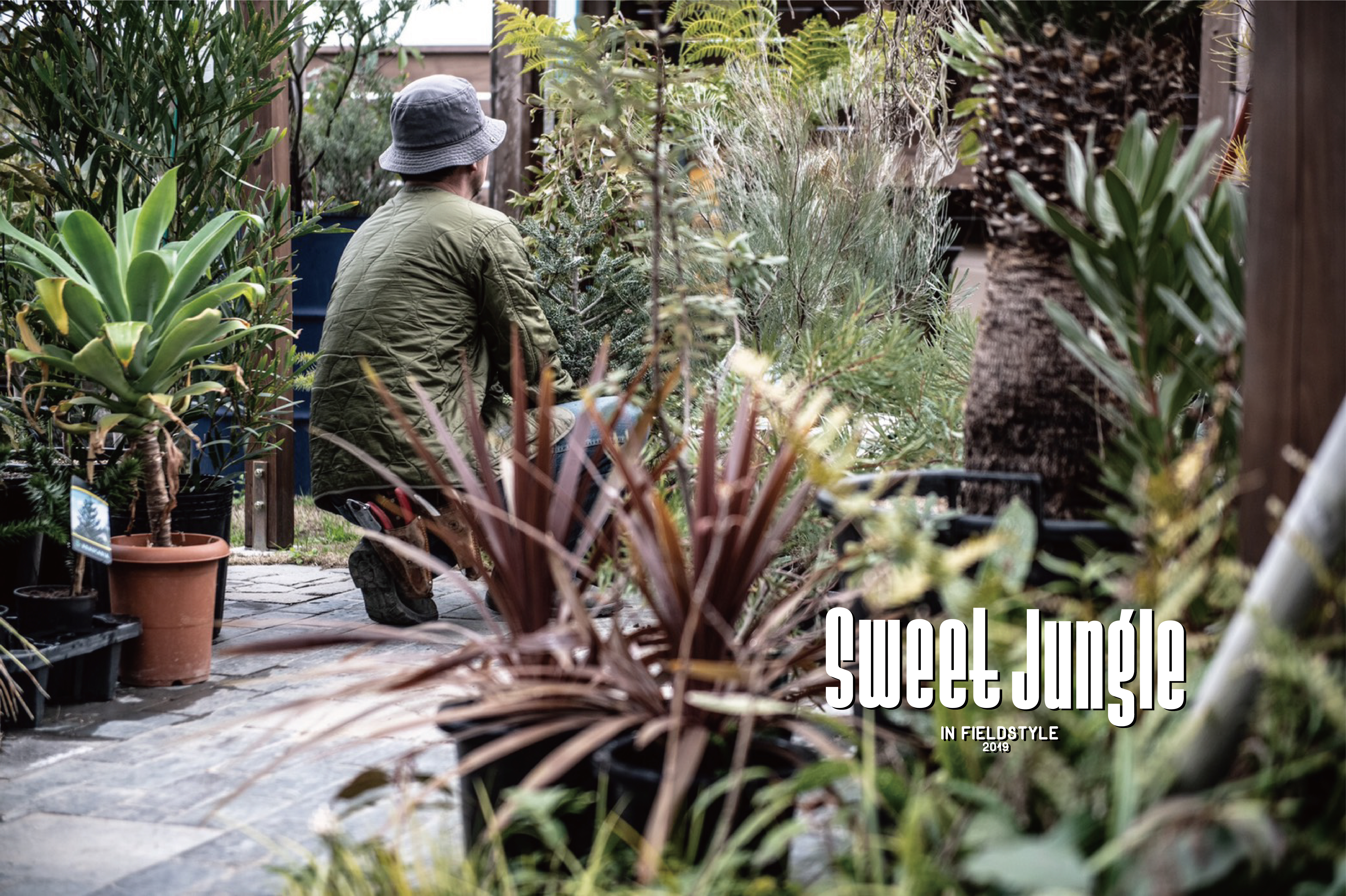 今回新たに新設されるのが、「sweet jungle」という植物に特化したエリア。  「植物を育てることを楽しむ時間」を暮らしに取り入れたいけれど、植物を育てる自信がなかったり、自分の性格やライフスタイルにあった育てやすい植物が分からなかったり……。そんな疑問を、出店者に気軽に相談しながら植物を購入することができるエリアです。  出店者の中には生産者さんもいるので、普通のショップではなかなか聞けない生産者さんならではの植物のお話も聞けそす。ぜひ正しい育て方と一緒に「植物を育てることを楽しむ時間」をGETしましょう！