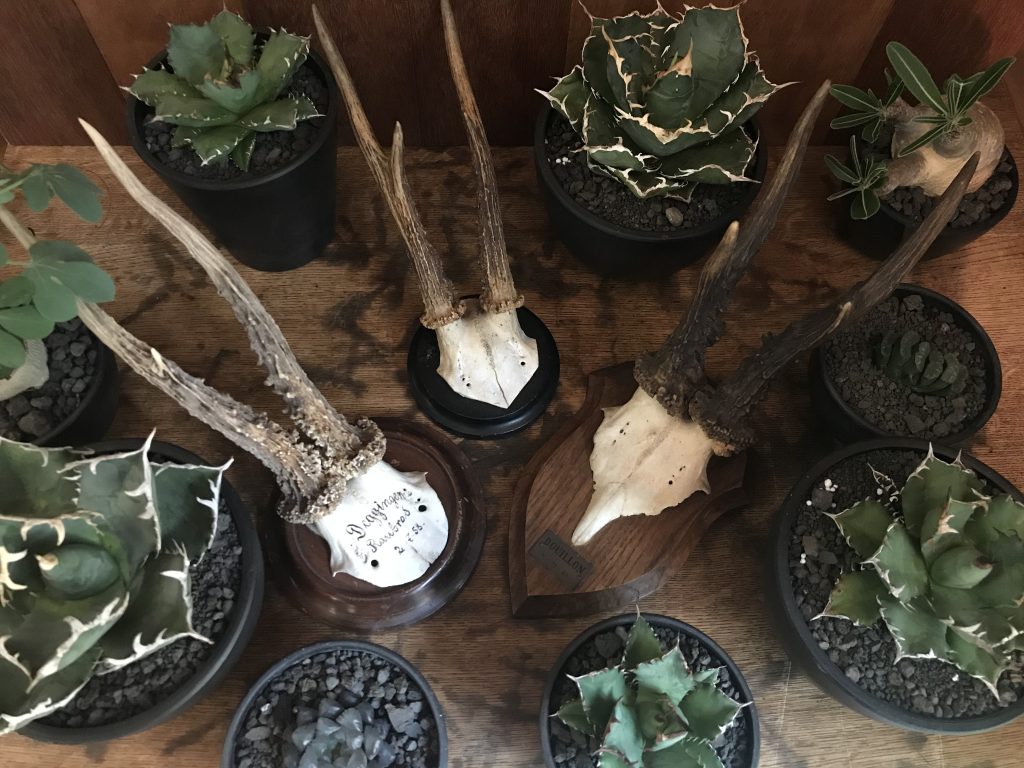 841223666944ae9041454