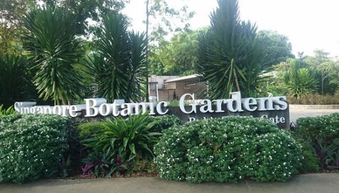 「シンガポール・ボタニック・ガーデン（Singapore Botanic Garden）」の歴史は約160年あり、植物研究のための施設である。現在では緑化を推進するシンガポールのシンボル的存在ともいえる。2015年7月にユネスコの世界遺産に登録されている。