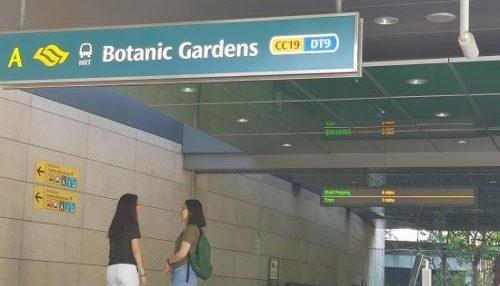 「シンガポール・ボタニック・ガーデン（Singapore Botanic Garden）」は交通の便も良く、シンガポール中心部から地下鉄で行くことができ、最寄りのBotanic GAarden駅を出るとすぐに入り口ゲートがある。