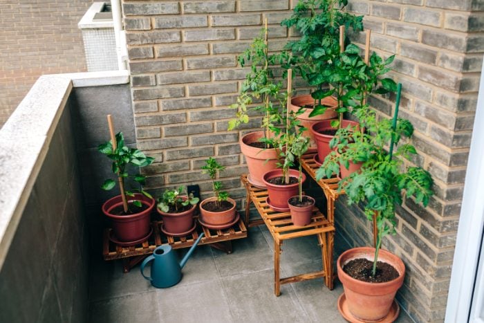 Canva画像　ガーデニング