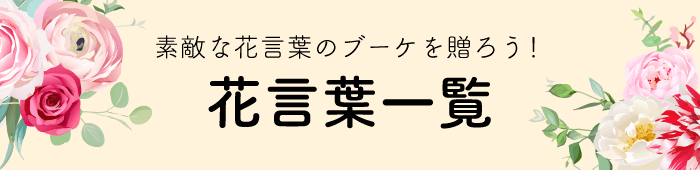 素敵な花言葉のブーケを贈ろう！逆引き花言葉