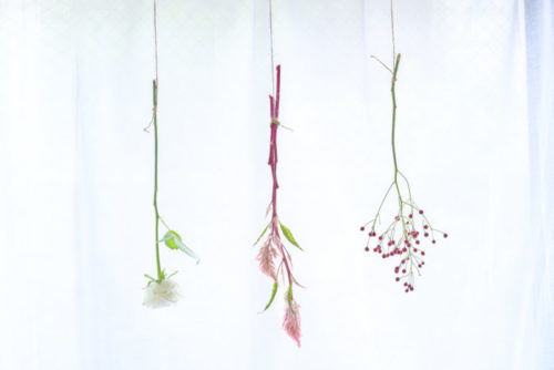 ドライフラワーを楽しむ 部屋を彩るアレンジの作り方 飾り方 Lovegreen ラブグリーン