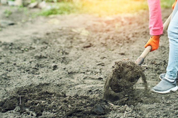 Canva画像　耕す　土