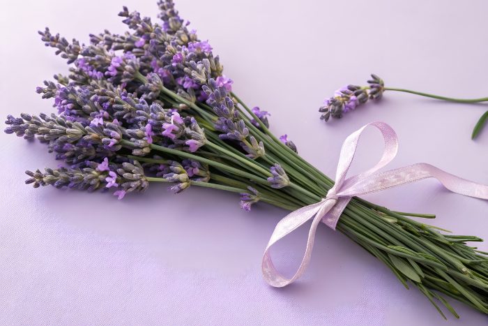 Canva画像　ラベンダー