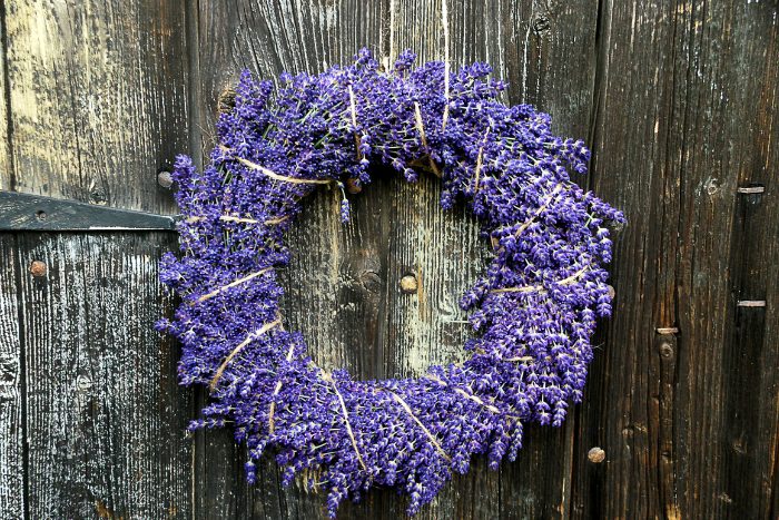 Canva画像　ラベンダー　リース