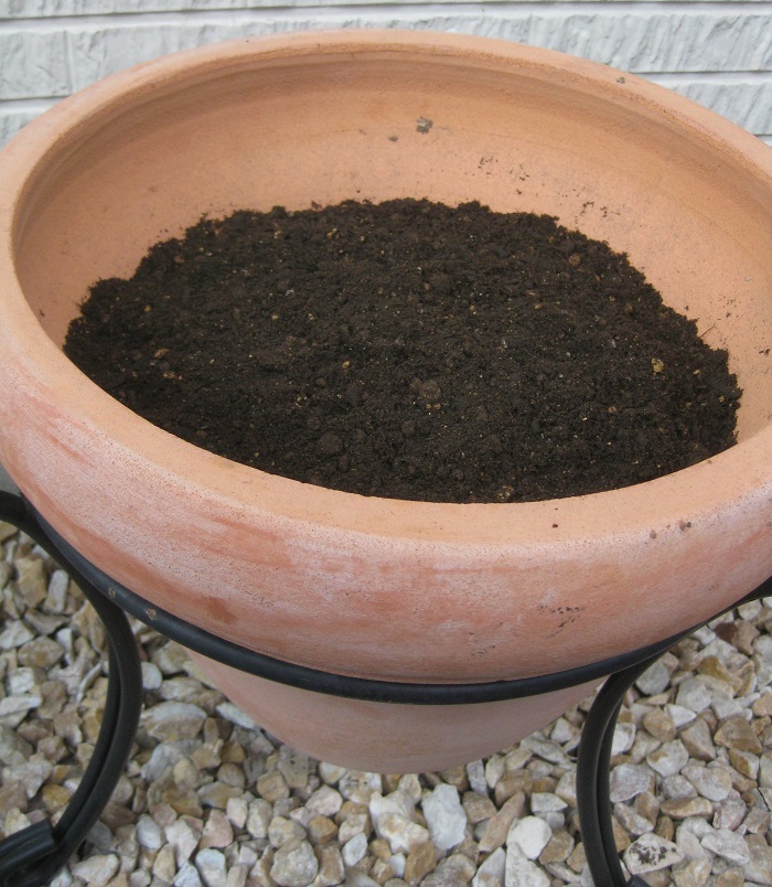 鉢底ネットを敷いた鉢に、鉢底石を鉢の５分の１程度入れ、その上に培養土を入れます。