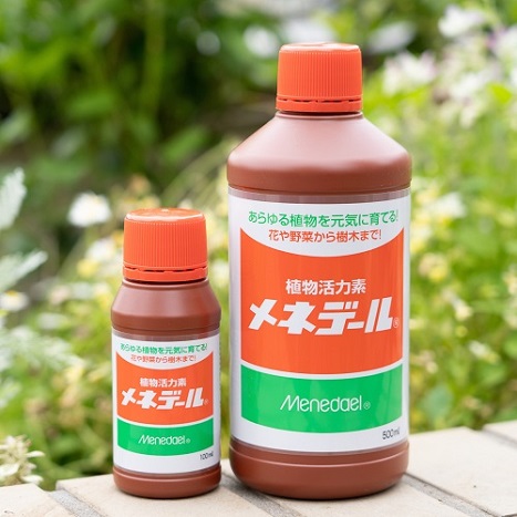 ミニトマトをベランダ菜園で収穫 育て方とプランター栽培のコツ Lovegreen ラブグリーン
