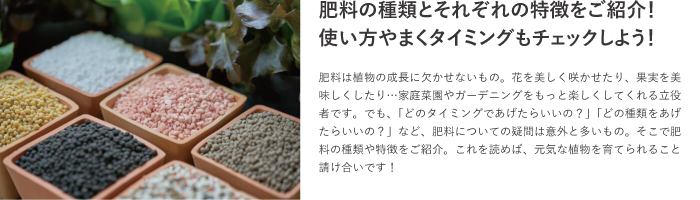 肥料の種類や使い方 使うタイミング 家庭菜園編 Lovegreen ラブグリーン