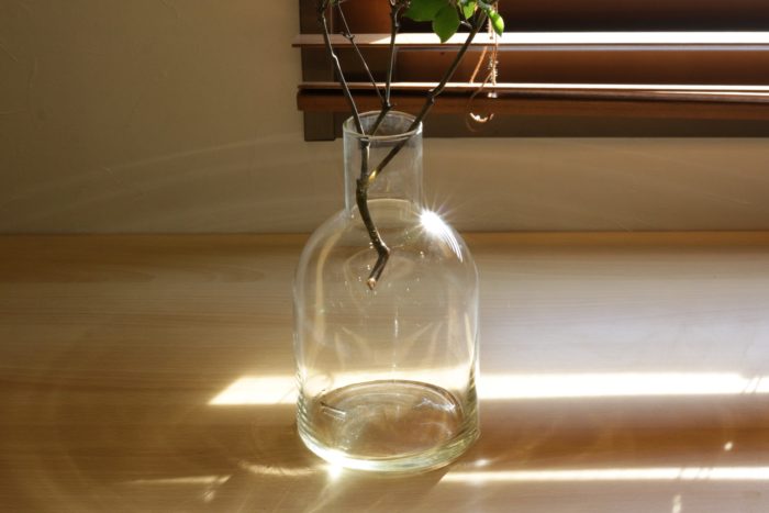 シンプルなフォルムと無色透明なガラス。それらによってどんな植物も合い、魅力を引き出してくれます。