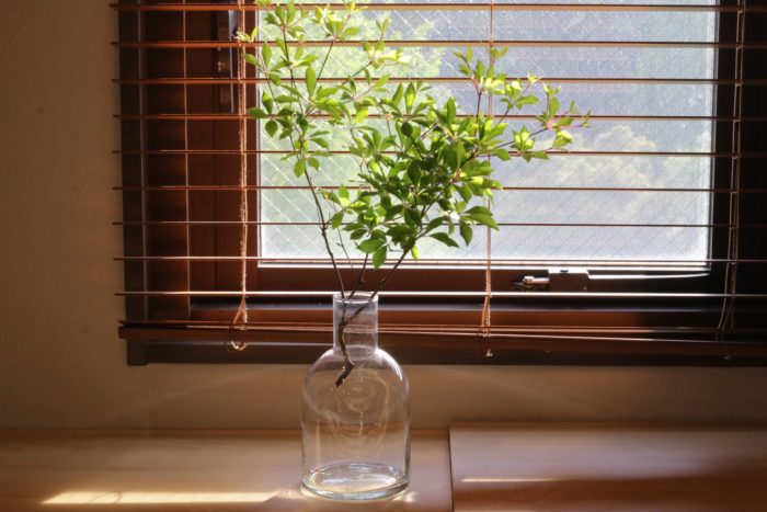 テクニックいらず リューズガラスフラワーベース で植物のある暮らしに挑戦 Lovegreen ラブグリーン
