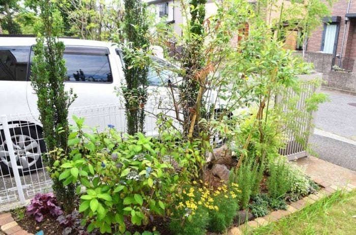こちらは駐車場の隣の花壇。