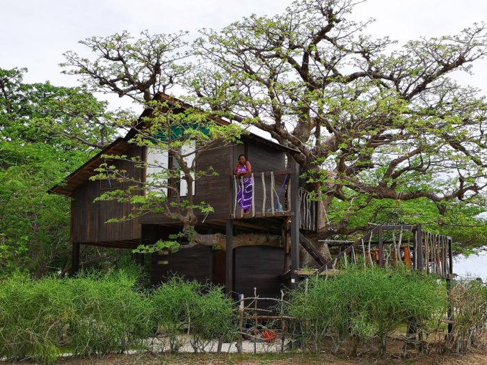  これは、バオバブのツリーハウスである。バオバブや大自然にあこがれを持つ人にとっては、うっとりする存在であろう。